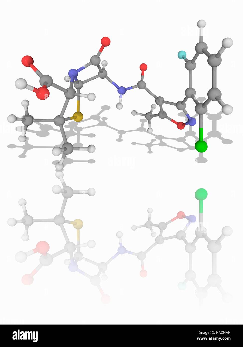 Floxacillin. Le modèle moléculaire de l'antibiotique med floxacillin (C19.H17.cl.F.N3.O5.S), également connu sous le nom de flucloxacillin. Il s'agit d'une bêta à spectre étroit-lactamines de la classe à la pénicilline. Les atomes sont représentés comme des sphères et sont codés par couleur : carbone (gris), l'hydrogène (blanc), l'azote (bleu), l'oxygène (rouge), le chlore (vert), le fluor (cyan) et le soufre (jaune). L'illustration. Banque D'Images