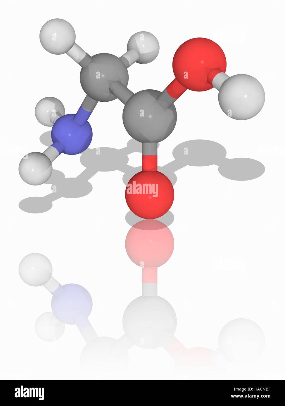 Ntroduire 95+ imagen quelle est la formule chimique de la glycine - fr ...