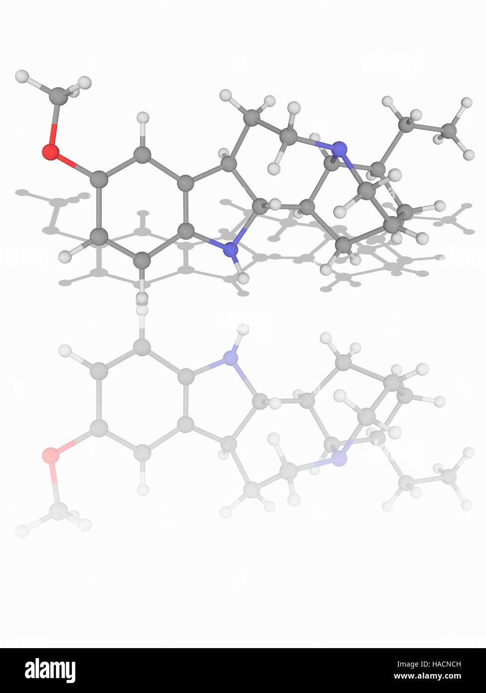 L'ibogaïne. Le modèle moléculaire du médicament l'ibogaïne (C20.H26.N2.O). Il s'agit d'une substance psychoactive naturelle trouvée dans un certain nombre de plantes. Les atomes sont représentés comme des sphères et sont codés par couleur : carbone (gris), l'hydrogène (blanc), l'azote (bleu) et d'oxygène (rouge). L'illustration. Banque D'Images