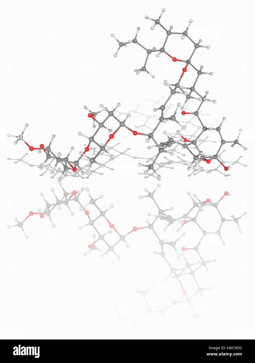 L'ivermectine. Le modèle moléculaire du médicament antiparasitaire ivermectine (C48.H74.O14). Ce médicament est utilisé comme un traitement pour les vers parasites. Les atomes sont représentés comme des sphères et sont codés par couleur : carbone (gris), l'hydrogène (blanc) et d'oxygène (rouge). L'illustration. Banque D'Images