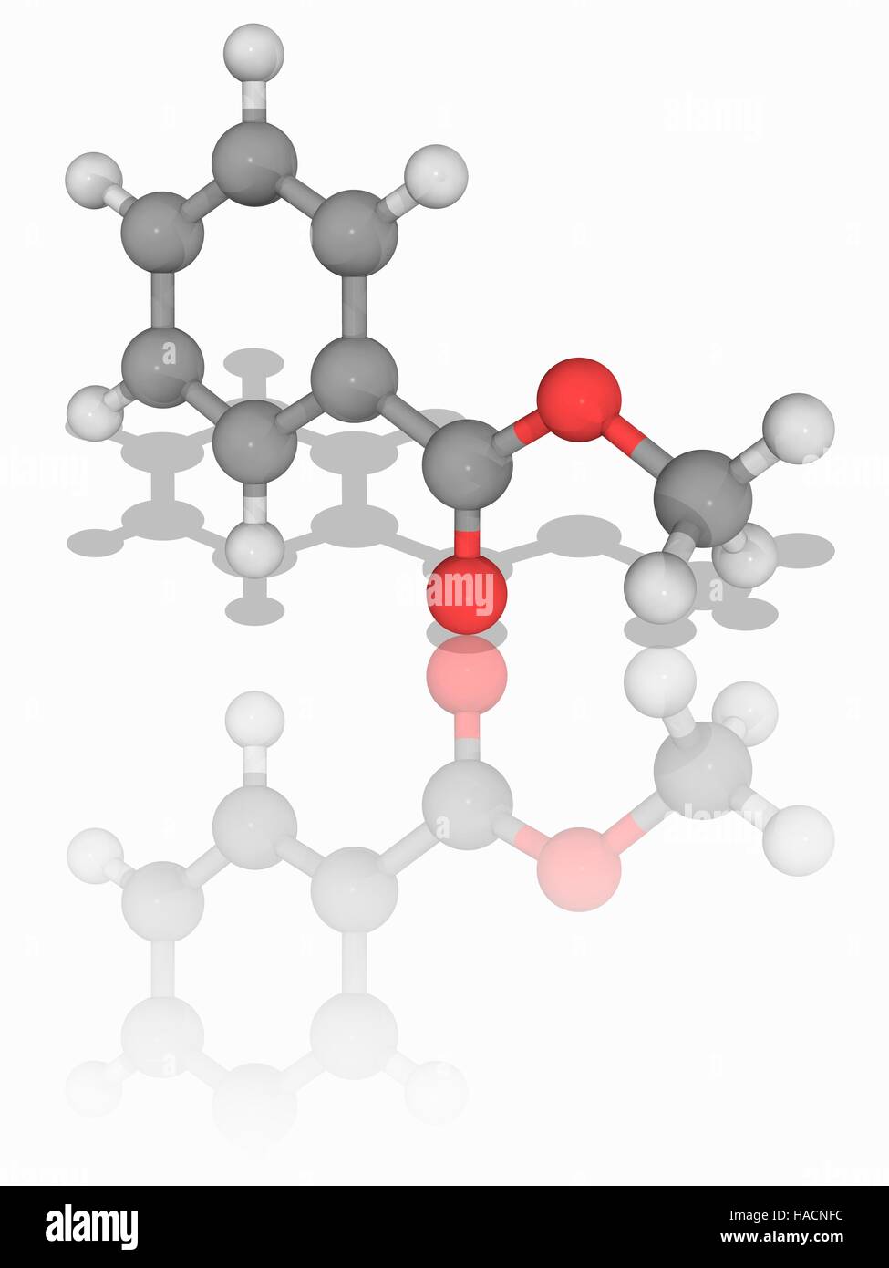 Le benzoate de méthyle. Le modèle moléculaire du composé organique benzoate de méthyle (C8.H8.O2). Cette substance a une odeur semblable à celle du fruit de l'arbre de feijoa. Il est utilisé dans l'industrie du parfum, comme solvant et comme pesticide. Les atomes sont représentés comme des sphères et sont codés par couleur : carbone (gris), l'hydrogène (blanc) et d'oxygène (rouge) Illustration. Banque D'Images