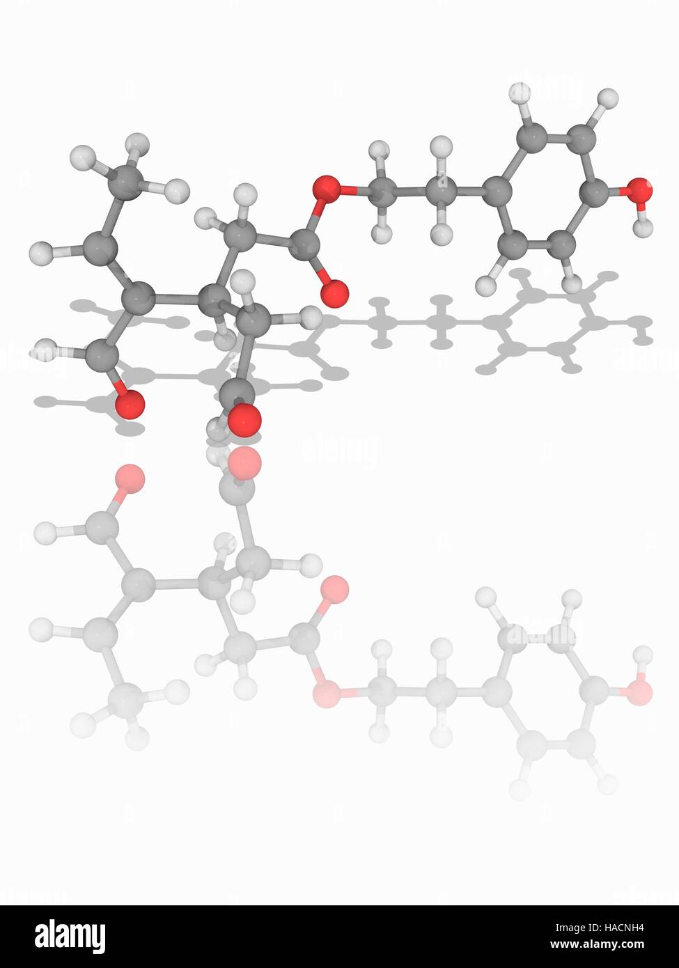 Oleocanthal. Le modèle moléculaire du composé organique naturel (oleocanthal C17.H20.O5), un phenylethanoid trouvés dans l'huile d'olive extra-vierge. Les atomes sont représentés comme des sphères et sont codés par couleur : carbone (gris), l'hydrogène (blanc) et d'oxygène (rouge). L'illustration. Banque D'Images