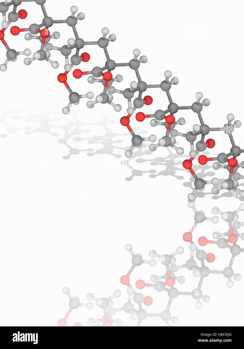Verre acrylique PMMA polymère. Le modèle moléculaire du polymère poly(méthacrylate de méthyle), également connu sous le nom de PMMA ou acrylique, et commercialisés sous les noms commerciaux tels que Plexiglas, Perspex, Acrylite et Lucite. La formule moléculaire de l'unité de base est C5.O2.H8. Il y a dix unités de base présentés ici, s'unissent pour former une structure polymère. C'est un thermoplastique transparent polymère synthétique de méthacrylate de méthyle. Les atomes sont représentés comme des sphères et sont codés par couleur : carbone (gris), l'hydrogène (blanc) et d'oxygène (rouge). L'illustration. Banque D'Images Verre acrylique PMMA polymère. Le modèle moléculaire du polymère poly(méthacrylate de méthyle), également connu sous le nom de PMMA ou acrylique, et commercialisés sous les noms commerciaux tels que Plexiglas, Perspex, Acrylite et Lucite. La formule moléculaire de l'unité de base est C5.O2.H8. Il y a dix unités de base présentés ici, s'unissent pour former une structure polymère. C'est un thermoplastique transparent polymère synthétique de méthacrylate de méthyle. Les atomes sont représentés comme des sphères et sont codés par couleur : carbone (gris), l'hydrogène (blanc) et d'oxygène (rouge). L'illustration. Banque D'Images