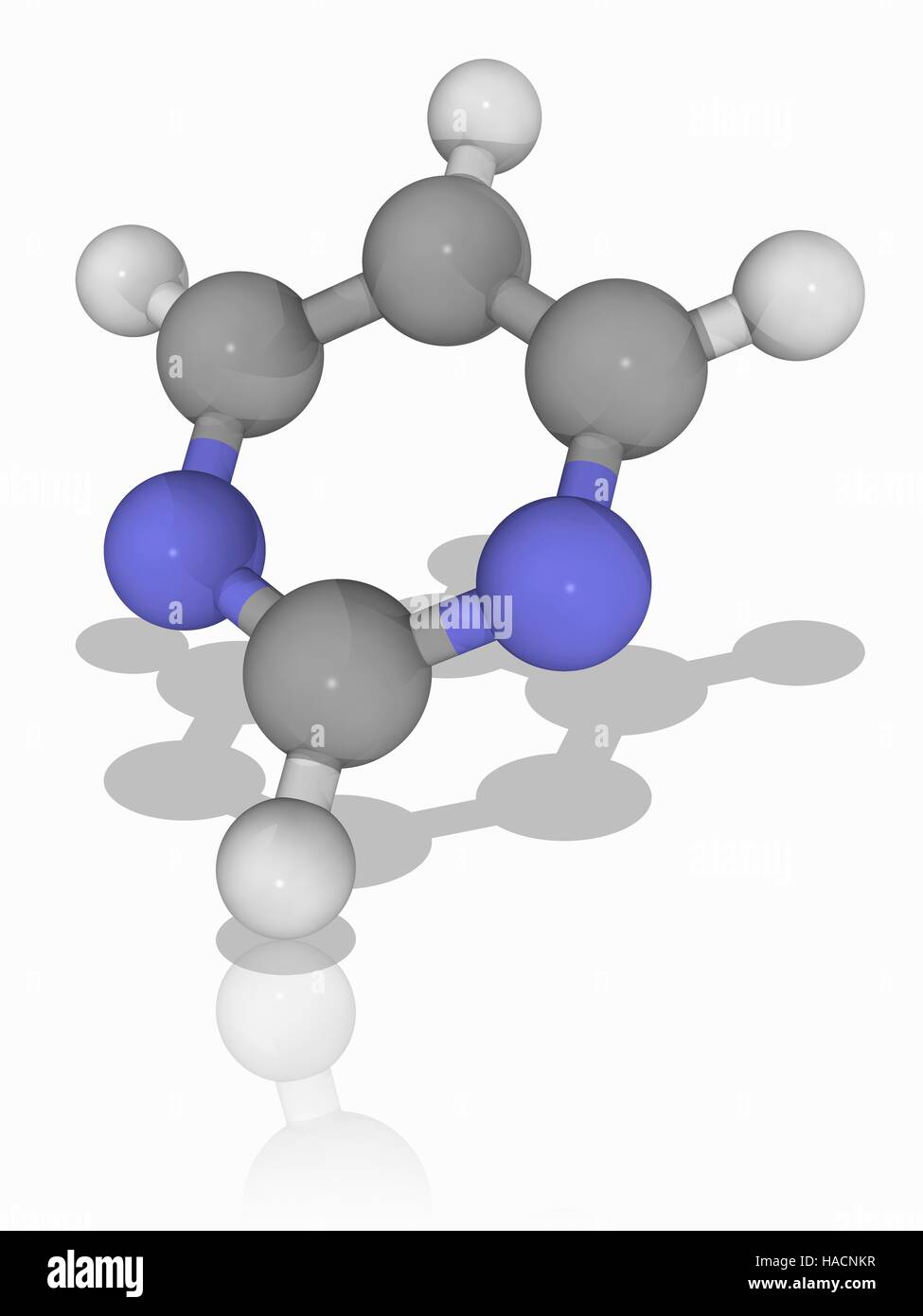 Pyrimidine. Le modèle moléculaire du composé organique aromatique pyrimidine (C4.H4.N2). Les atomes d'azote sont en position 1 et 3 de l'anneau aromatique, d'où le noms systématiques de 1, 3-diazine ou méta-diazine. Les trois nucléobases la cytosine, la thymine et l'uracile sont dérivés de la pyrimidine. Les atomes sont représentés comme des sphères et sont codés par couleur : carbone (gris), l'hydrogène (blanc) et de l'azote (bleu). L'illustration. Banque D'Images