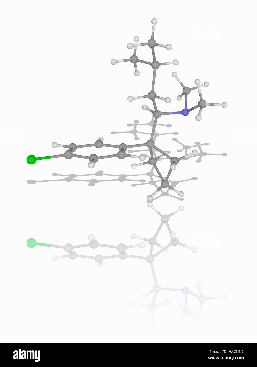 La sibutramine. Le modèle moléculaire de la sibutramine (C17.H26.Cl.N), un modérateur d'appétit agissant comme un neurotransmetteur sérotonine et utilisé pour traiter l'obésité. Les atomes sont représentés comme des sphères et sont codés par couleur : carbone (gris), l'hydrogène (blanc), l'azote (bleu) et le chlore (vert). L'illustration. Banque D'Images