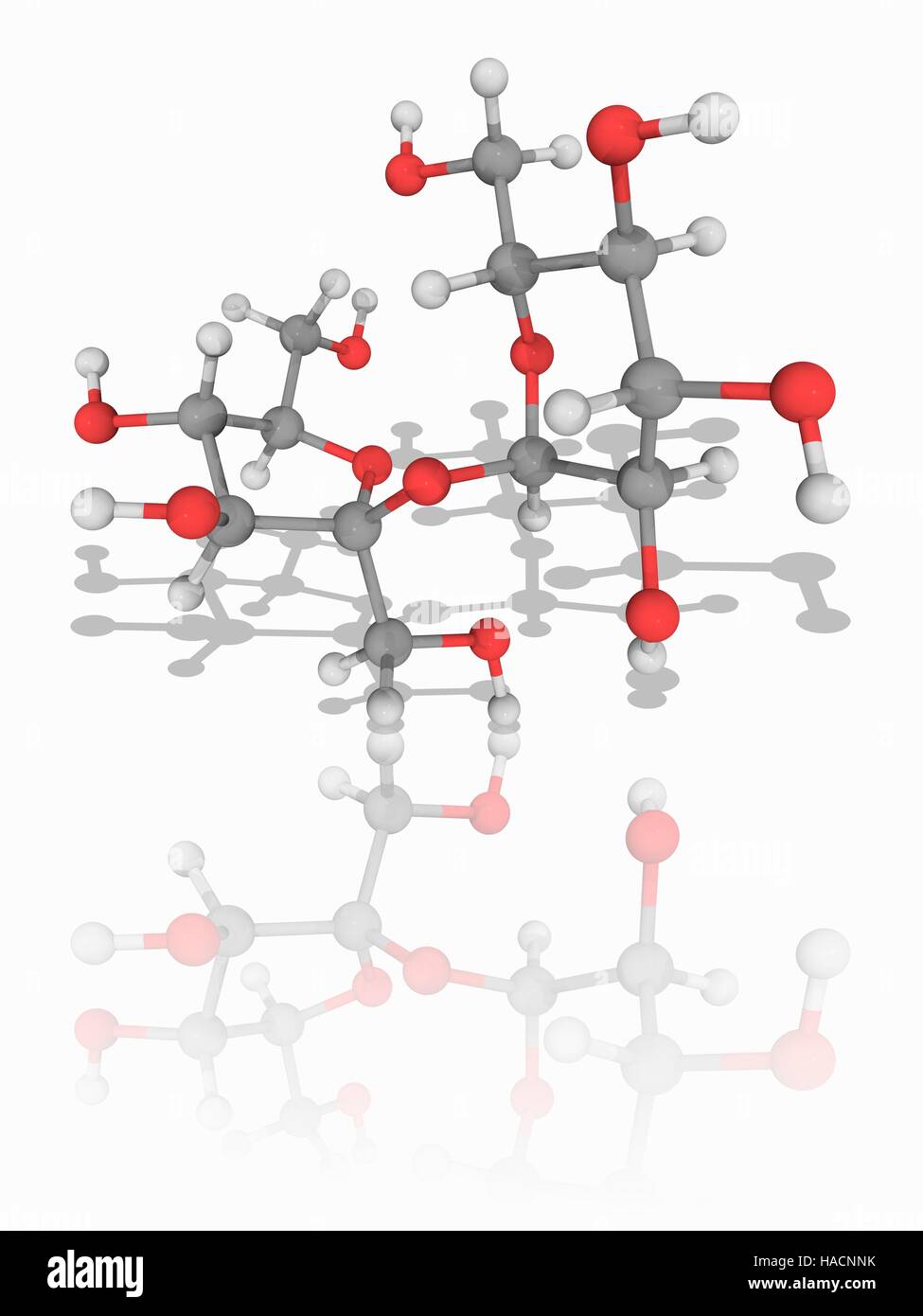 Le saccharose. Le modèle moléculaire du saccharose (composé organique C12.H22.O11), communément appelé le sucre de table. C'est un disaccharide combinaison des sucres simples, le glucose et le fructose. Les atomes sont représentés comme des sphères et sont codés par couleur : carbone (gris), l'hydrogène (blanc) et d'oxygène (rouge).) et d'oxygène (rouge). L'illustration. Banque D'Images