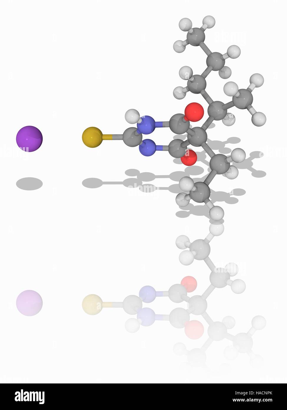 Le thiopental sodique. Le modèle moléculaire de l'anesthésie générale (thiopental sodique médicament C11.H17.N2.Na.O2.S) à déclenchement rapide, une courte durée d'action, un barbiturate, et le premier de trois médicaments administrés au cours d'injections mortelles aux USA. Les atomes sont représentés comme des sphères et sont codés par couleur : carbone (gris), l'hydrogène (blanc), l'azote (bleu), l'oxygène (rouge), le soufre (jaune) et de sodium (violette). L'illustration. Banque D'Images