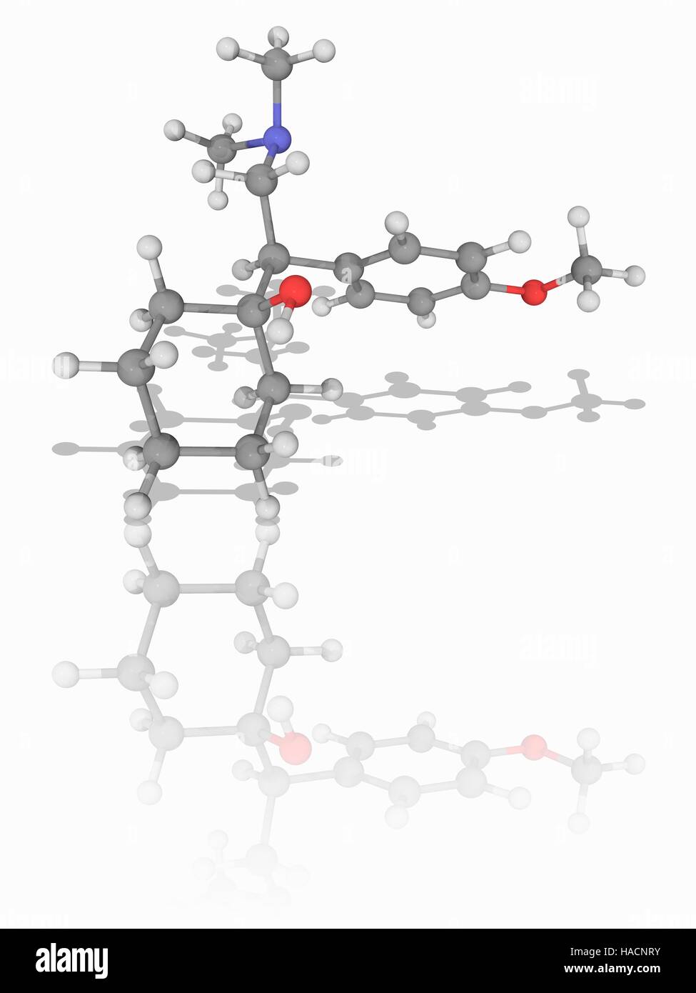 La venlafaxine. Le modèle moléculaire de l'antidépresseur venlafaxine (C17.H27.N.O2). Utilisé pour traiter la dépression, le trouble anxieux généralisé, la phobie sociale, le trouble panique et les symptômes vasomoteurs, c'est un inhibiteur du recaptage de la sérotonine-noradrénaline. Les atomes sont représentés comme des sphères et sont codés par couleur : carbone (gris), l'hydrogène (blanc), l'azote (bleu) et d'oxygène (rouge). L'illustration. Banque D'Images