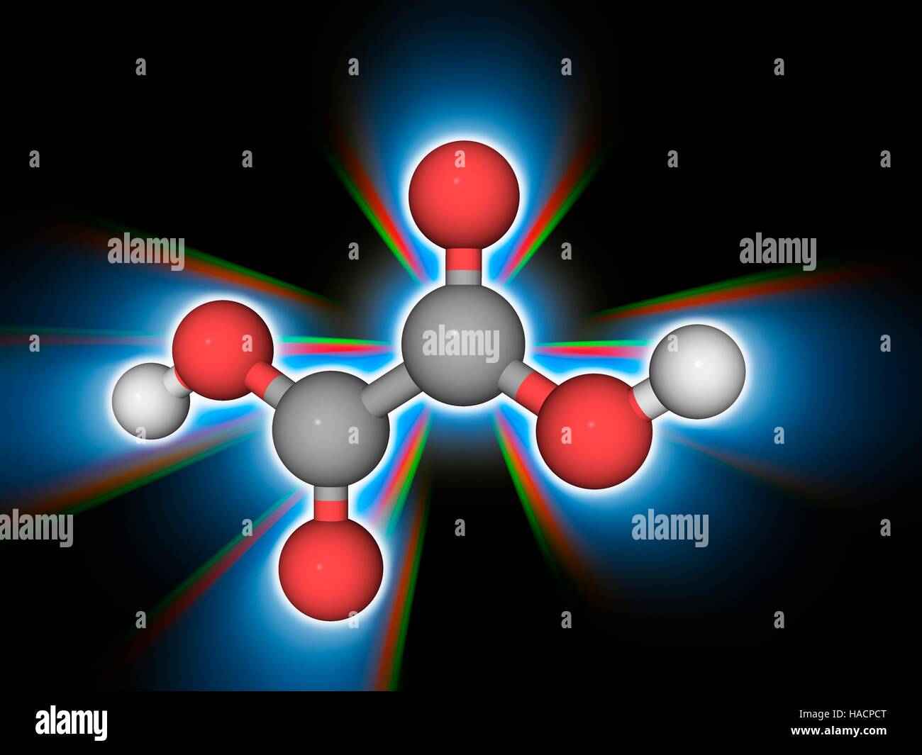 L'acide oxalique. Le modèle moléculaire du composé organique acide oxalique (C2.H2.O4), un acide fort et la réduction de l'agent. Il est utilisé pour le nettoyage et le blanchiment et de la teinture des processus. Les atomes sont représentés comme des sphères et sont codés par couleur : carbone (gris), l'hydrogène (blanc) et d'oxygène (rouge). L'illustration. Banque D'Images