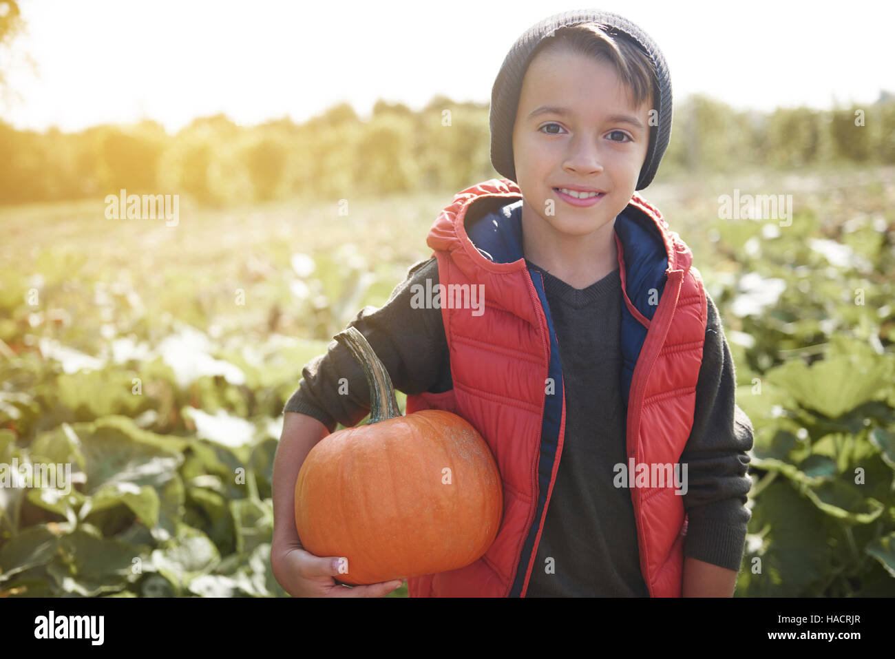 Garçon tenant une citrouille halloween Banque D'Images