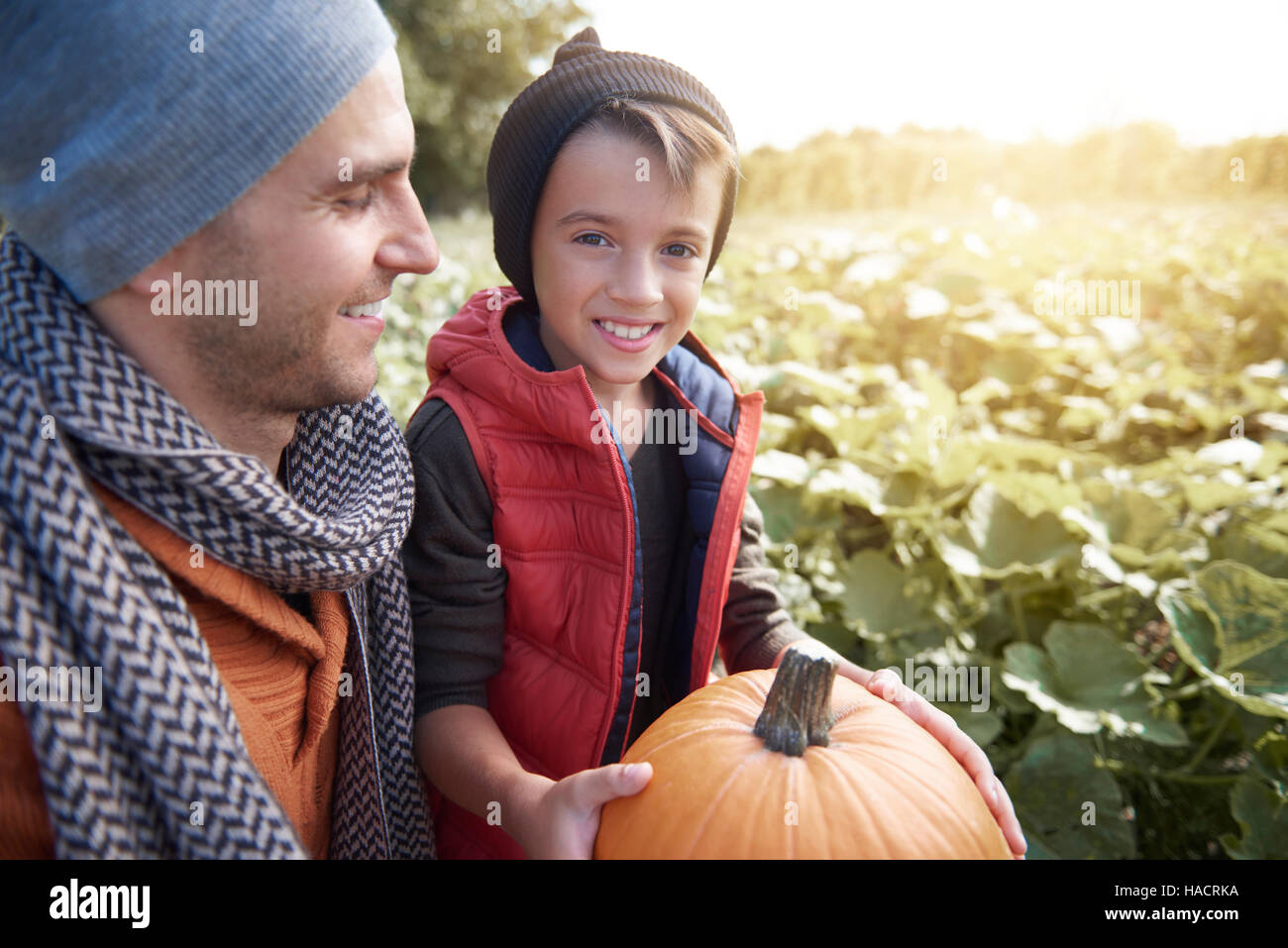 Le choix de la citrouille à l'Halloween Banque D'Images