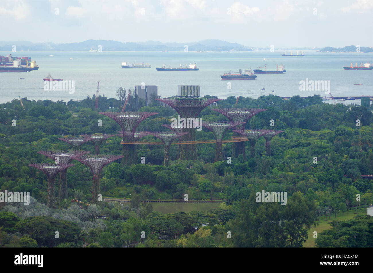 Singapour - 23 juillet 2016 : la vue quotidienne du Supertree Grove dans les jardins de la baie. S'étendant sur 101 hectares, et de cinq minutes à pied de la station de MRT Bayfront. Banque D'Images