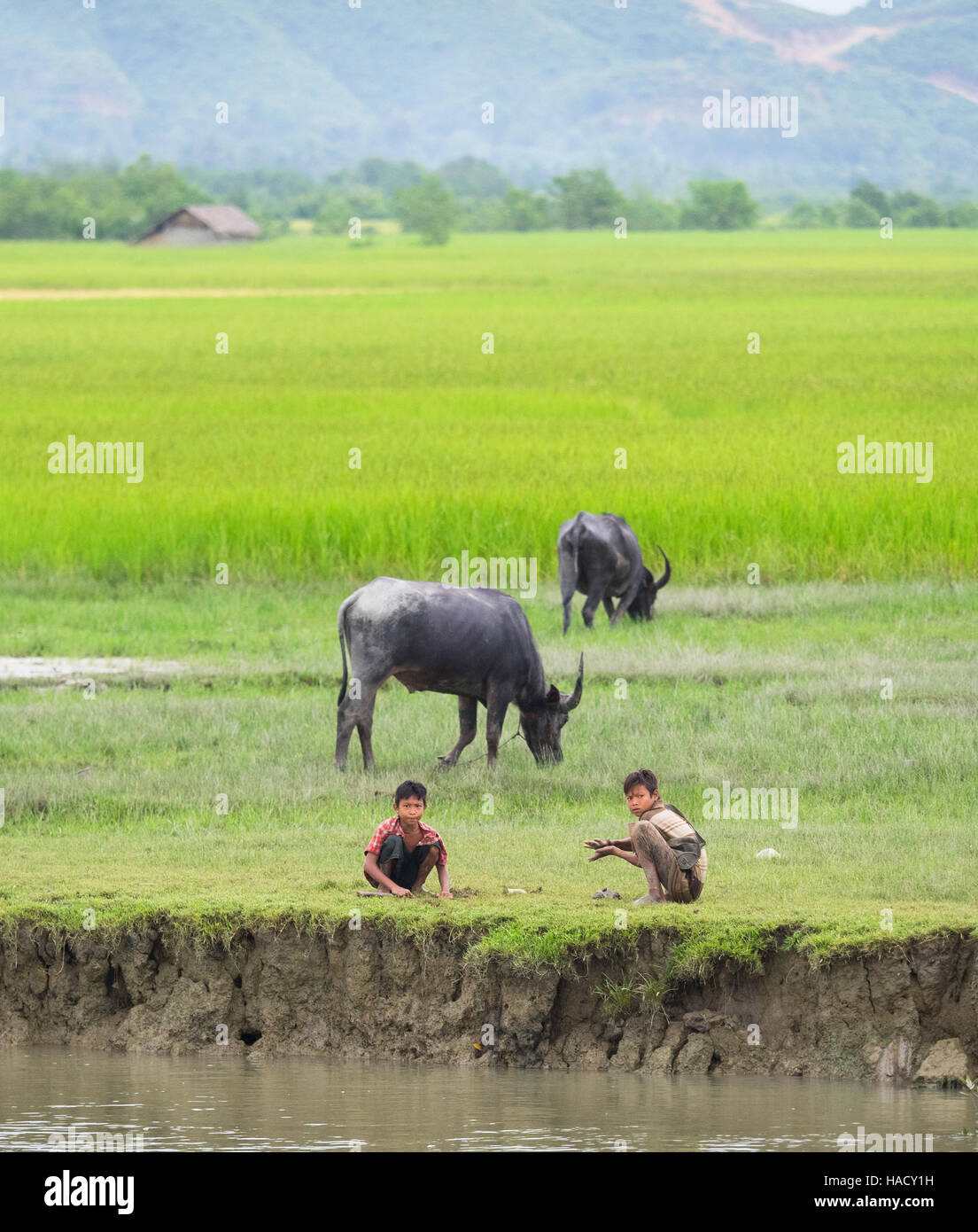 Deux garçons à jouer sur les bords de la rivière Kaladan, près de Mrauk U dans l'Etat de Rakhine. Banque D'Images