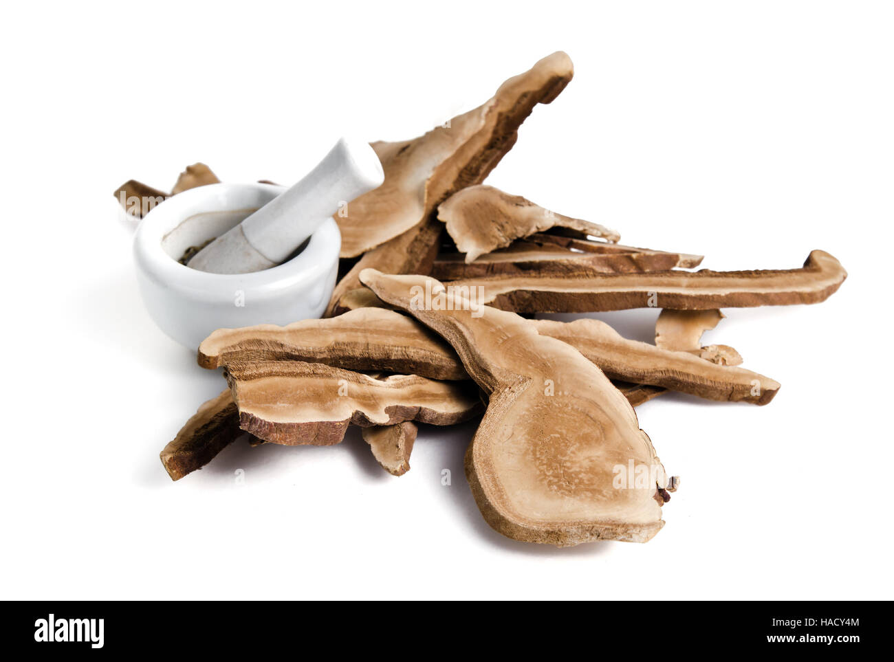 Champignons lingzhi séchées (également appelé le champignon Reishi comme Lingcheu au Japon, en Thaïlande, en Chine, de champignons Lingzhi Ganoderma lucidum Karst ou laqué Banque D'Images