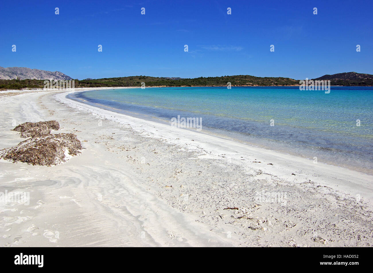 San Teodoro Sardaigne Plage Cala Brandinchi Au Printemps