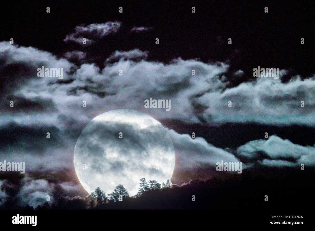 Super plein lune qui s'élève au-dessus de montagnes rocheuses, Salida, Colorado, USA Banque D'Images