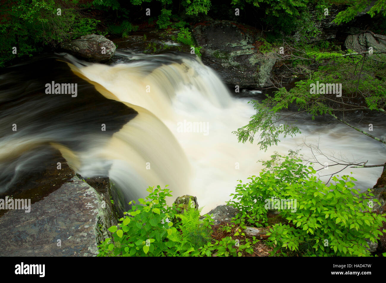 Chutes d'usine, Delaware Water Gap National Recreation Area, New York Banque D'Images