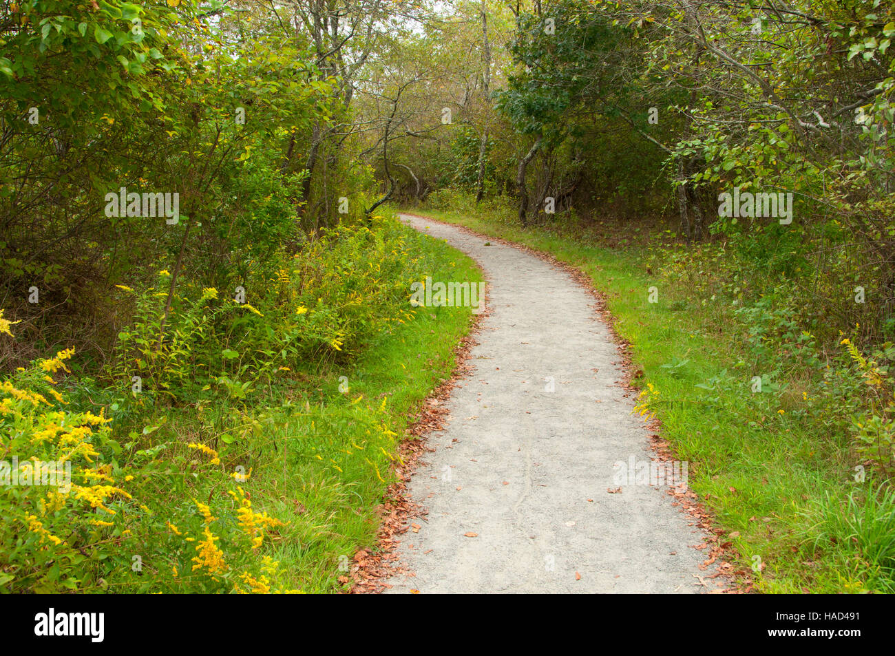 Sentier de randonnée, Trustom Pond National Wildlife Refuge, Rhode Island Banque D'Images