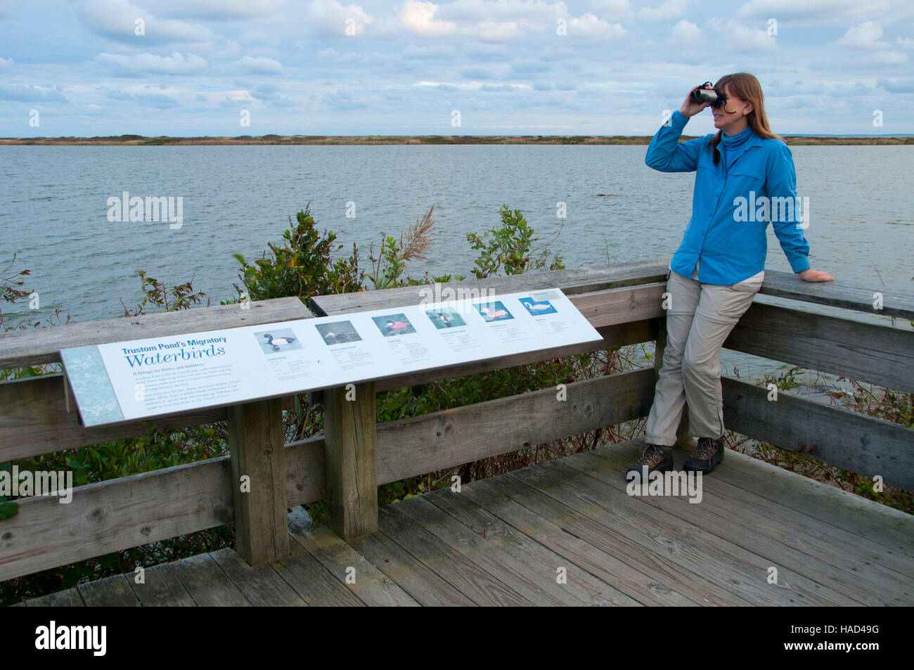 La plate-forme d'observation sur l'Osprey Point, Trustom Pond National Wildlife Refuge, Rhode Island Banque D'Images