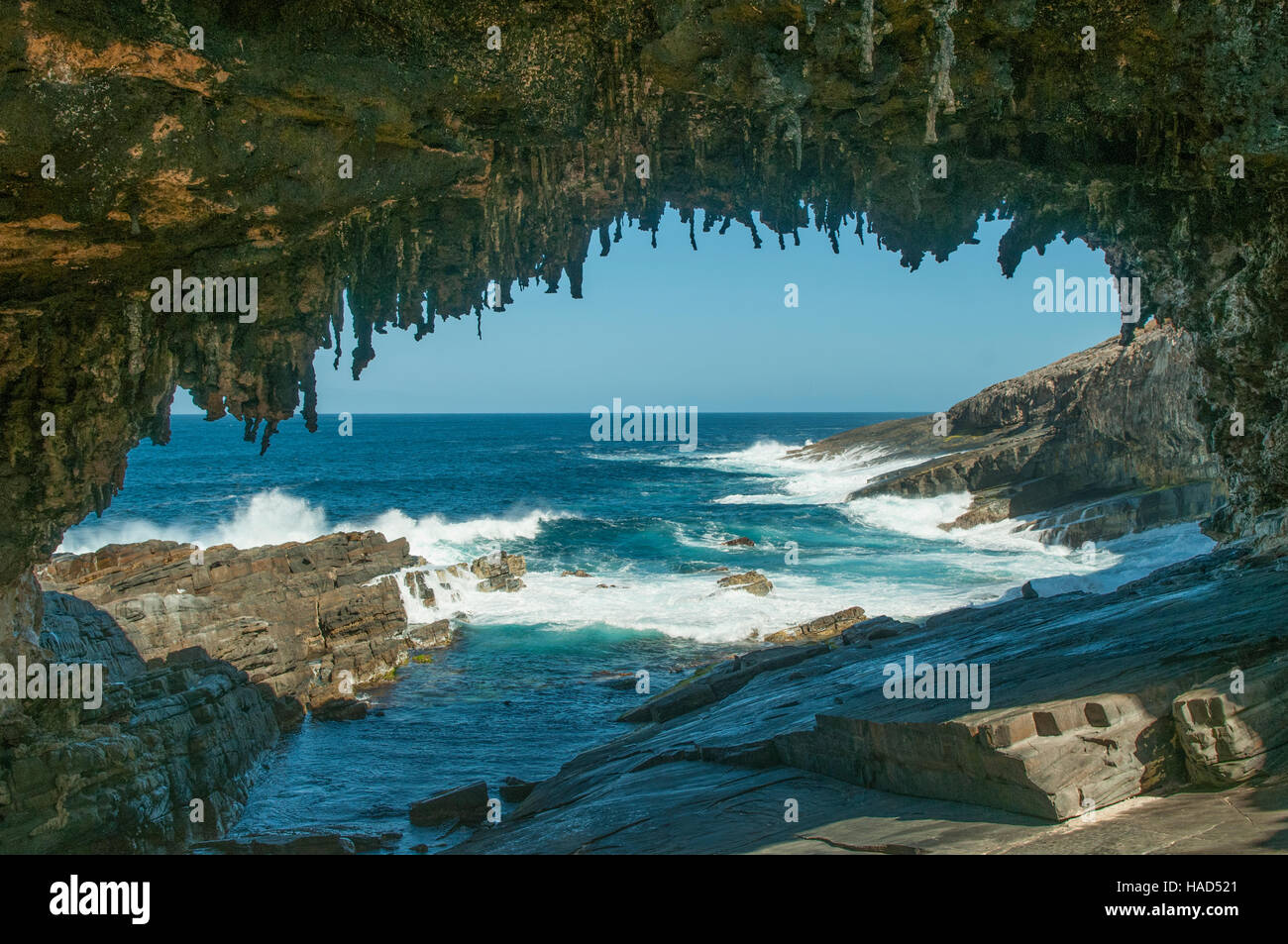 Admirals Arch, Kangaroo Island, Australie du Sud, Australie Banque D'Images