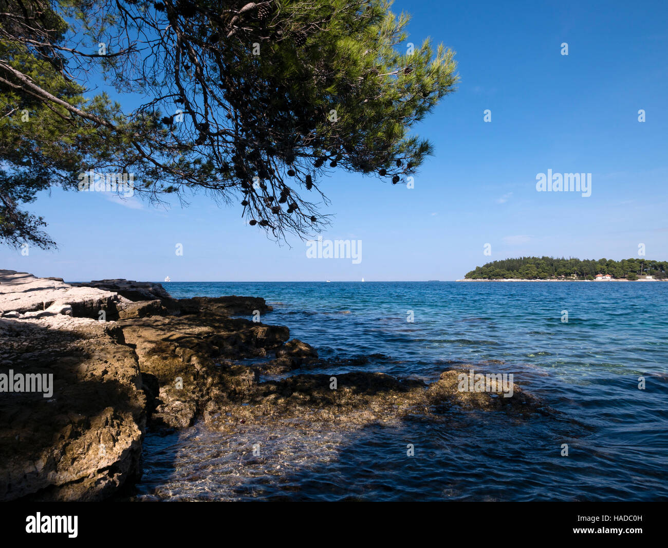 Punta Corrente, (Forest Park), Rovinj, Istrie, Croatie. Banque D'Images
