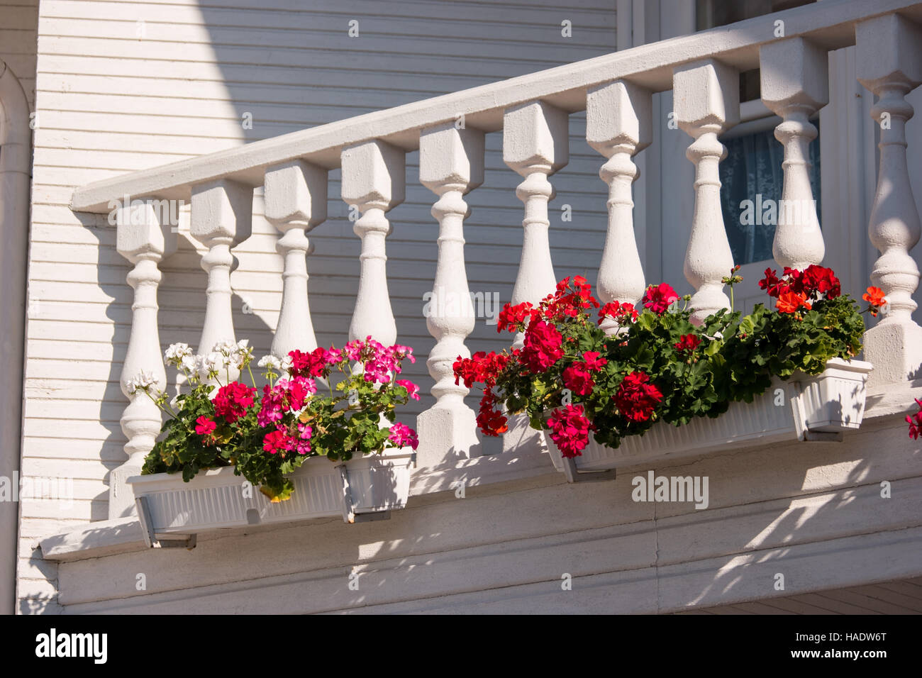 Des fleurs sur le balcon. Les petites colonnes blanches et rambarde. Les  pétunias de couleur rouge brillant. Les plantes ont besoin de soins Photo  Stock - Alamy