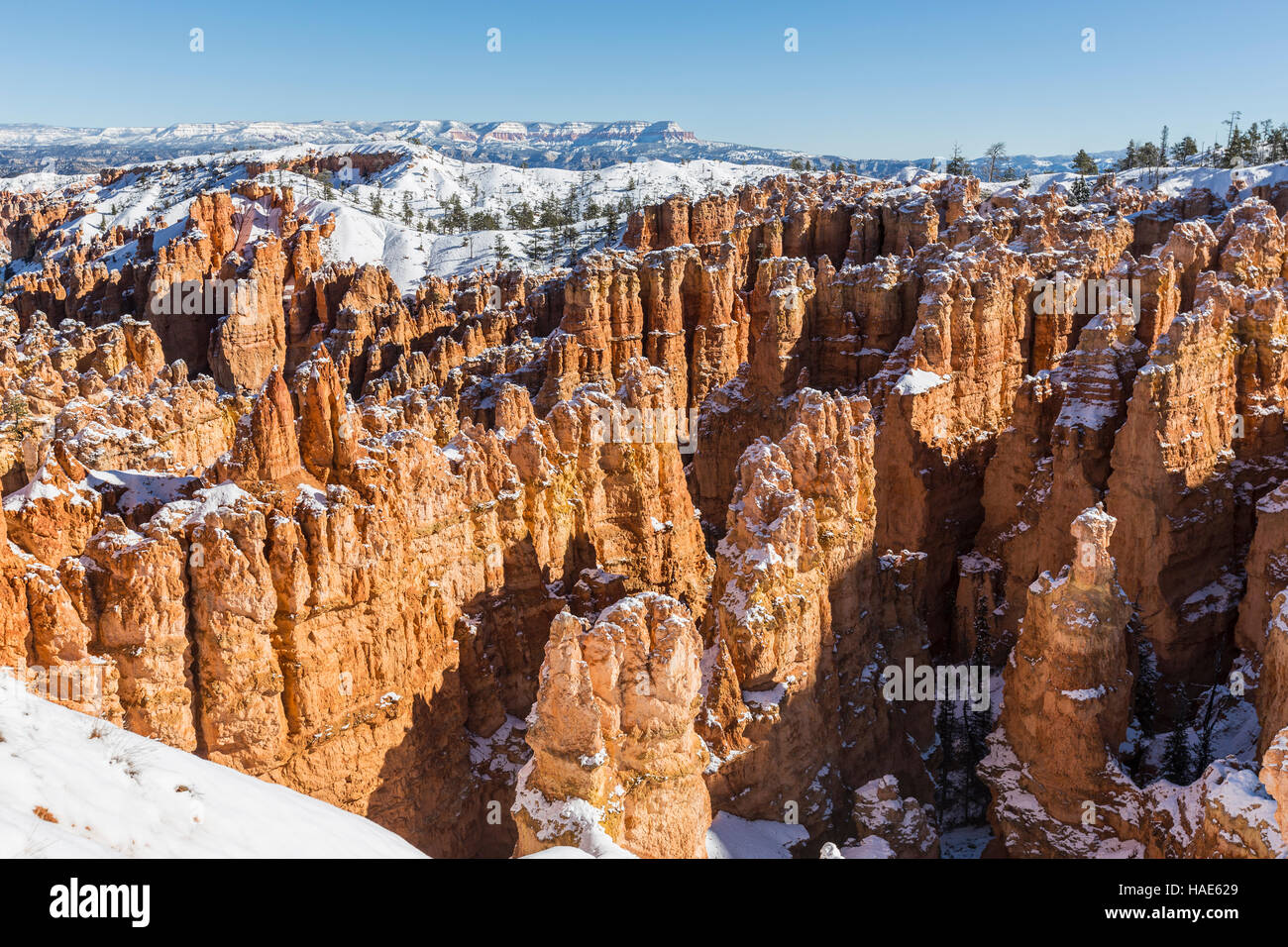 Hoodoos couvertes de neige au Parc National de Bryce Canyon dans l'Utah du sud. Banque D'Images