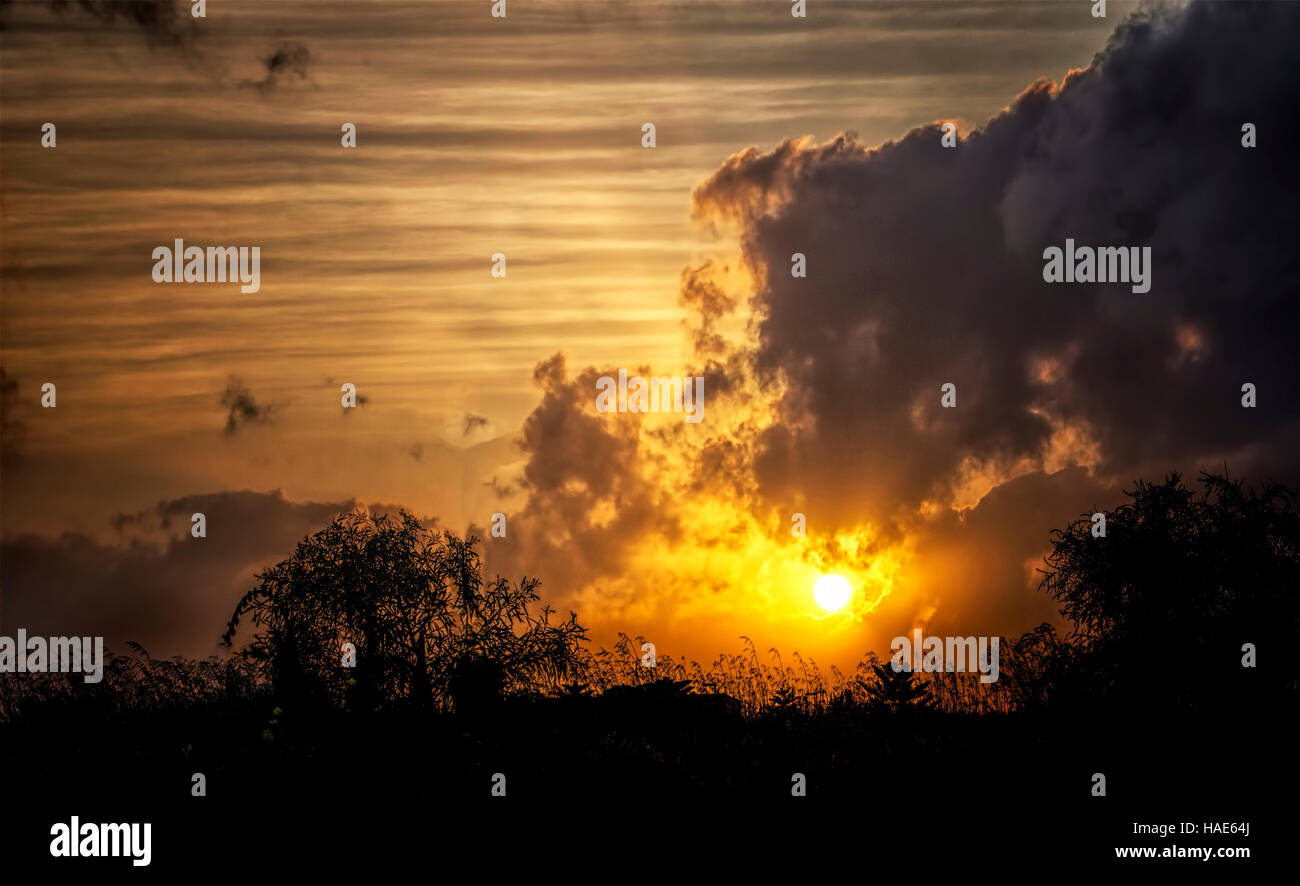 Coucher du soleil australien et silhouettes de la nature, Banque D'Images