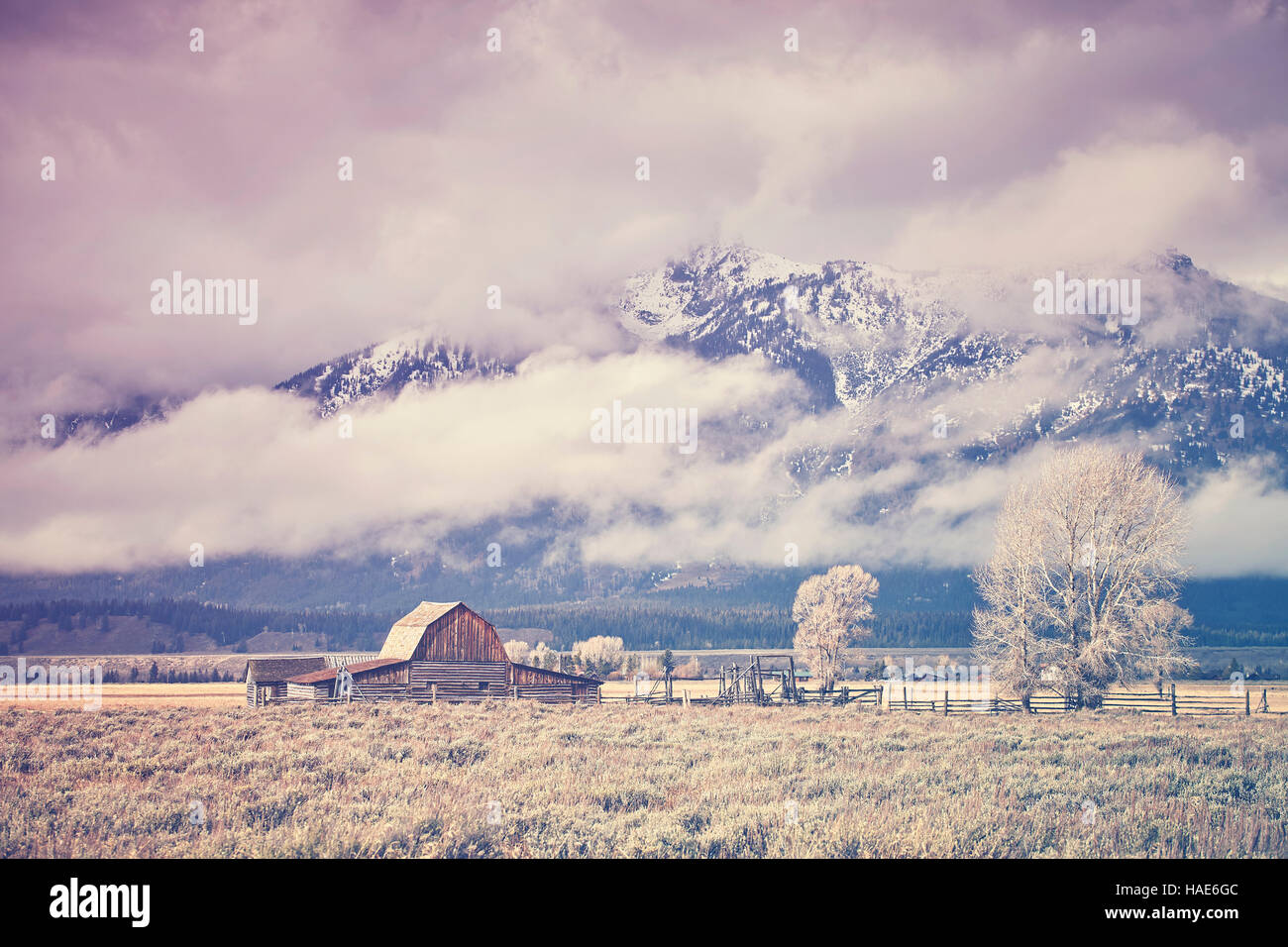 Tons rétro Teton mountain range avec Moulton Barn (connu aussi sous le nom de Mormon Row ou Antilope d'appartements) dans le Parc National de Grand Teton, Wyoming, États-Unis. Banque D'Images