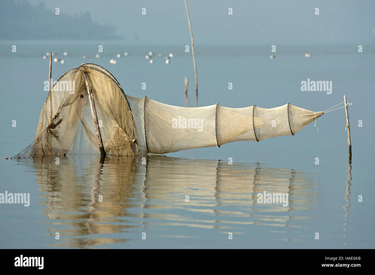 Filet de pêche typique appelé "tofo' dans le lac Trasimène, Ombrie, Italie, Europe Banque D'Images
