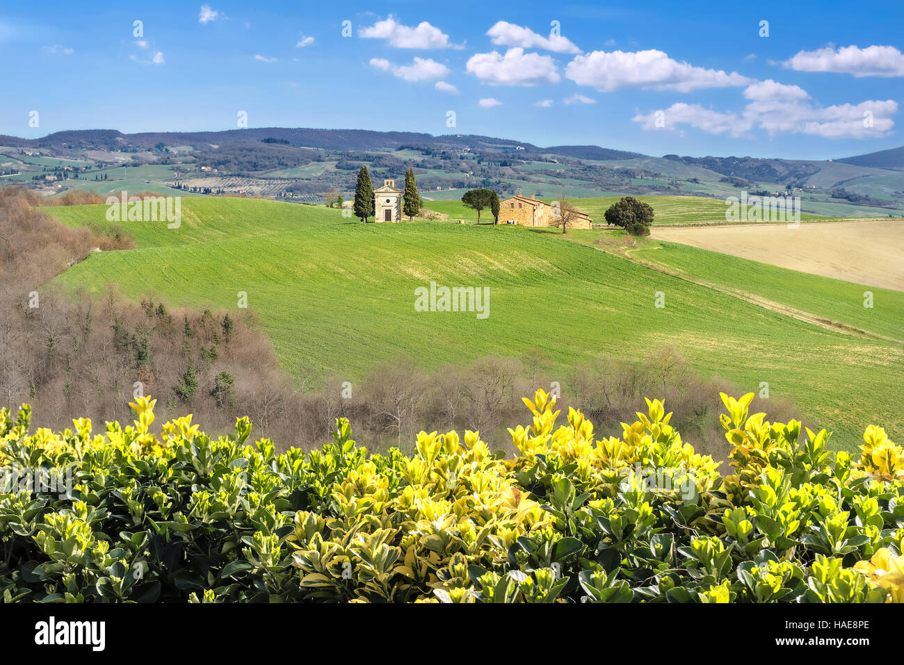 Dans la vallée de Val D'Orcia. La toscane, italie Banque D'Images