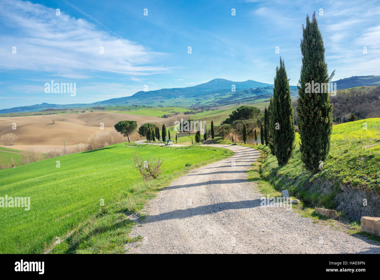 Cuntryside dans le Val d'Orcia province.Toscane, Italie Banque D'Images