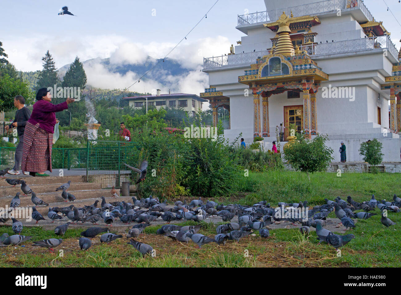 Woman feeding pigeons au National Memorial Chorten à Thimphu Banque D'Images
