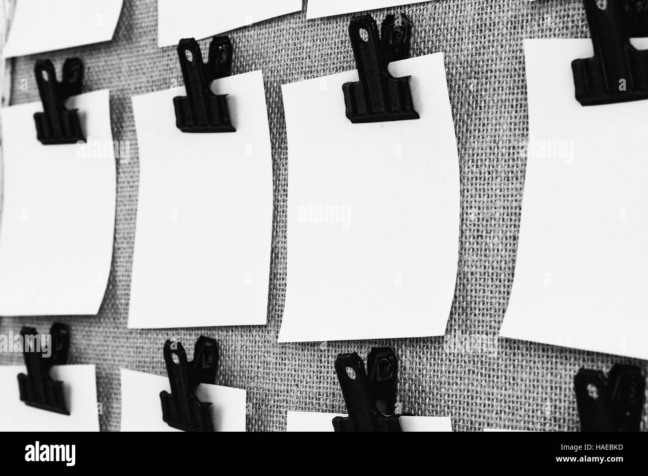 Affichage avec clips holding blank notes papier carré près. Vue sous un angle en noir et blanc Banque D'Images