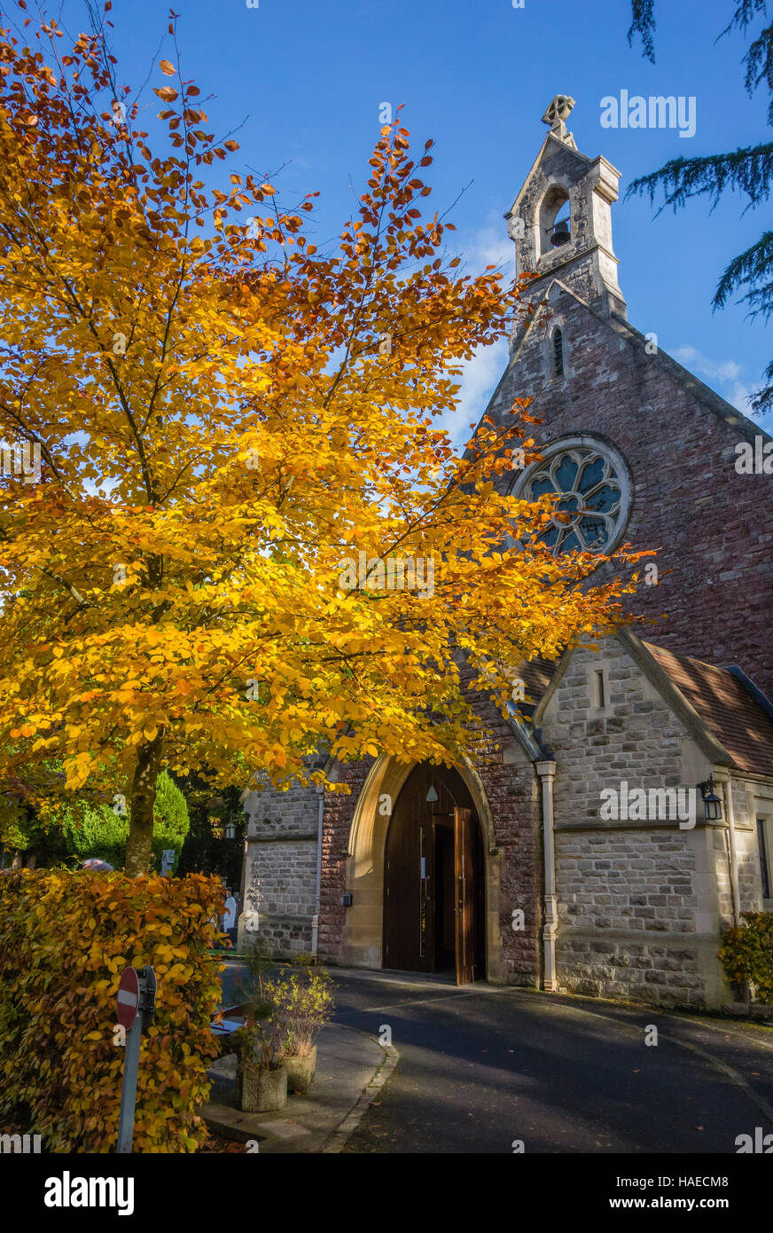 Entrée de All Saints' Church dans la Branksome Park avec des feuilles de couleurs d'automne, Dorset, UK Banque D'Images