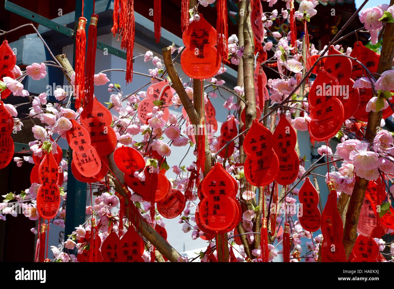 Wishing Tree Singapour Banque D'Images