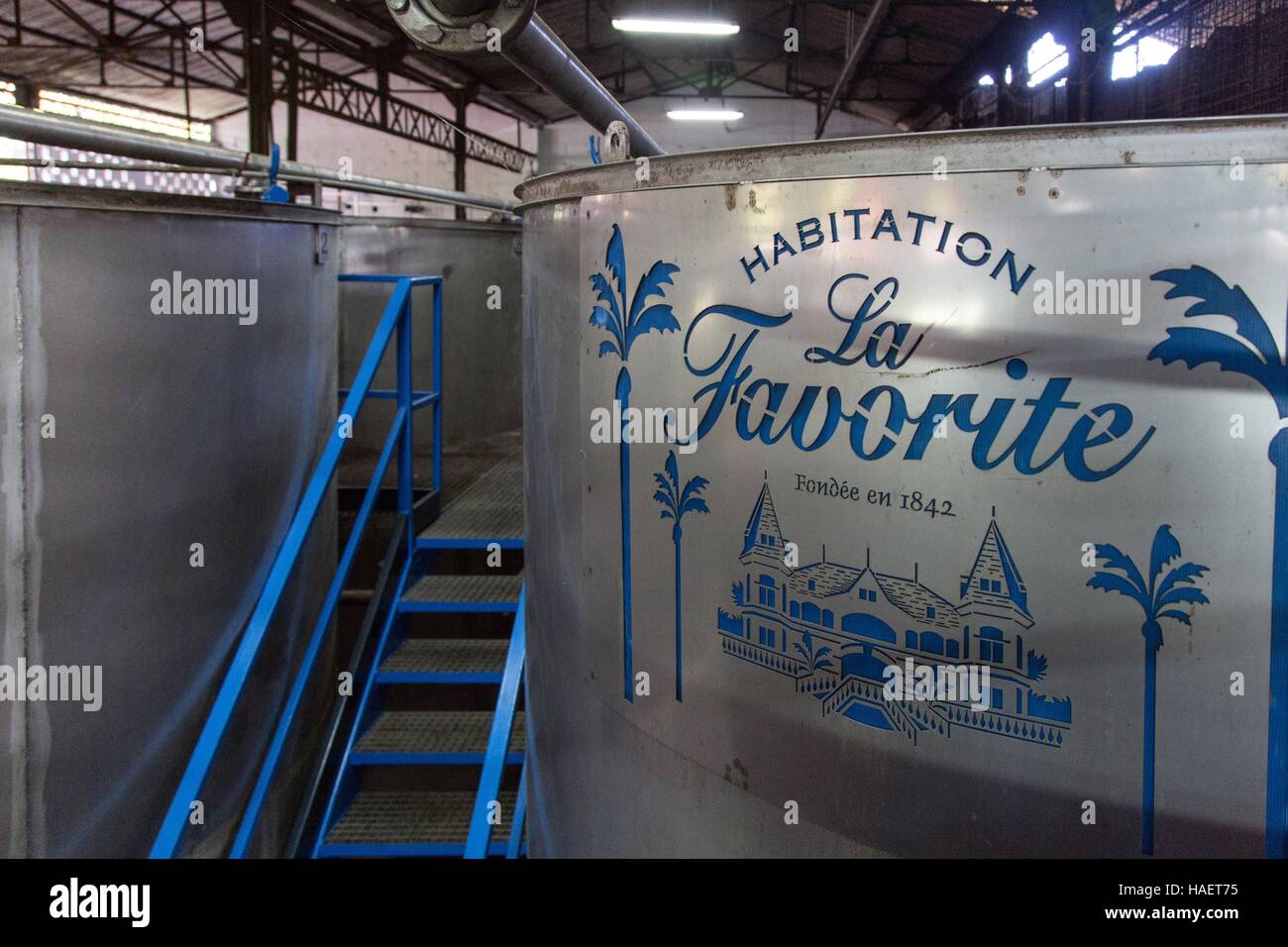 Le rhum ET LA CULTURE DE LA CANNE À SUCRE EN MARTINIQUE, Antilles françaises, FRANCE Banque D'Images