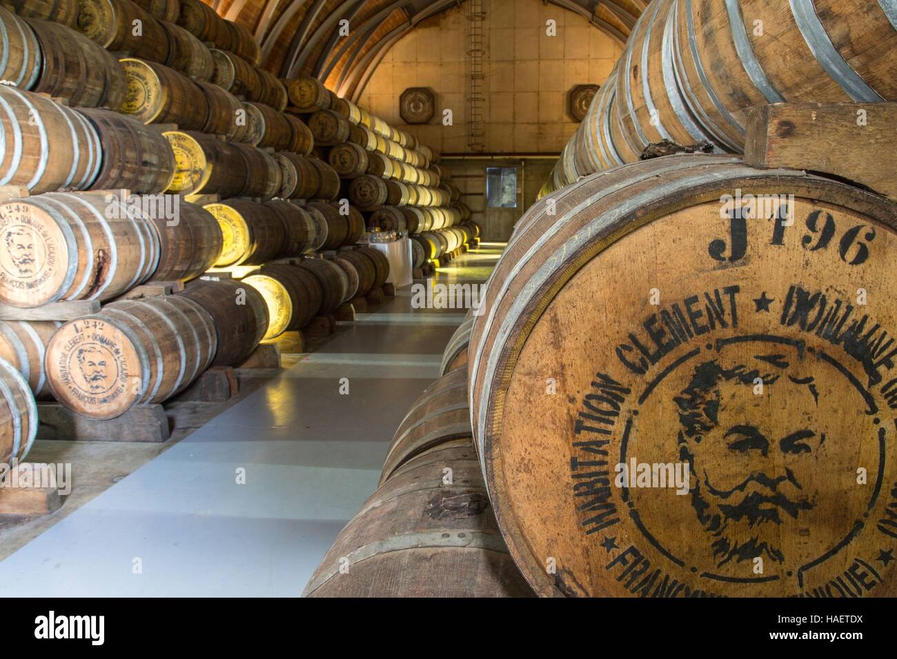 Le rhum ET LA CULTURE DE LA CANNE À SUCRE EN MARTINIQUE, Antilles françaises, FRANCE Banque D'Images