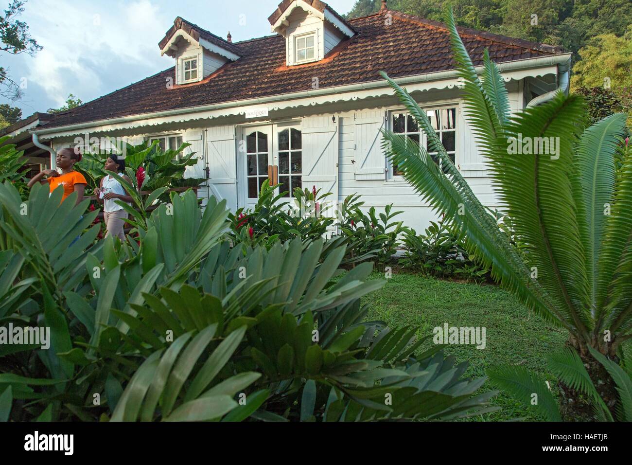 Jardin botanique martinique Banque de photographies et d’images à haute