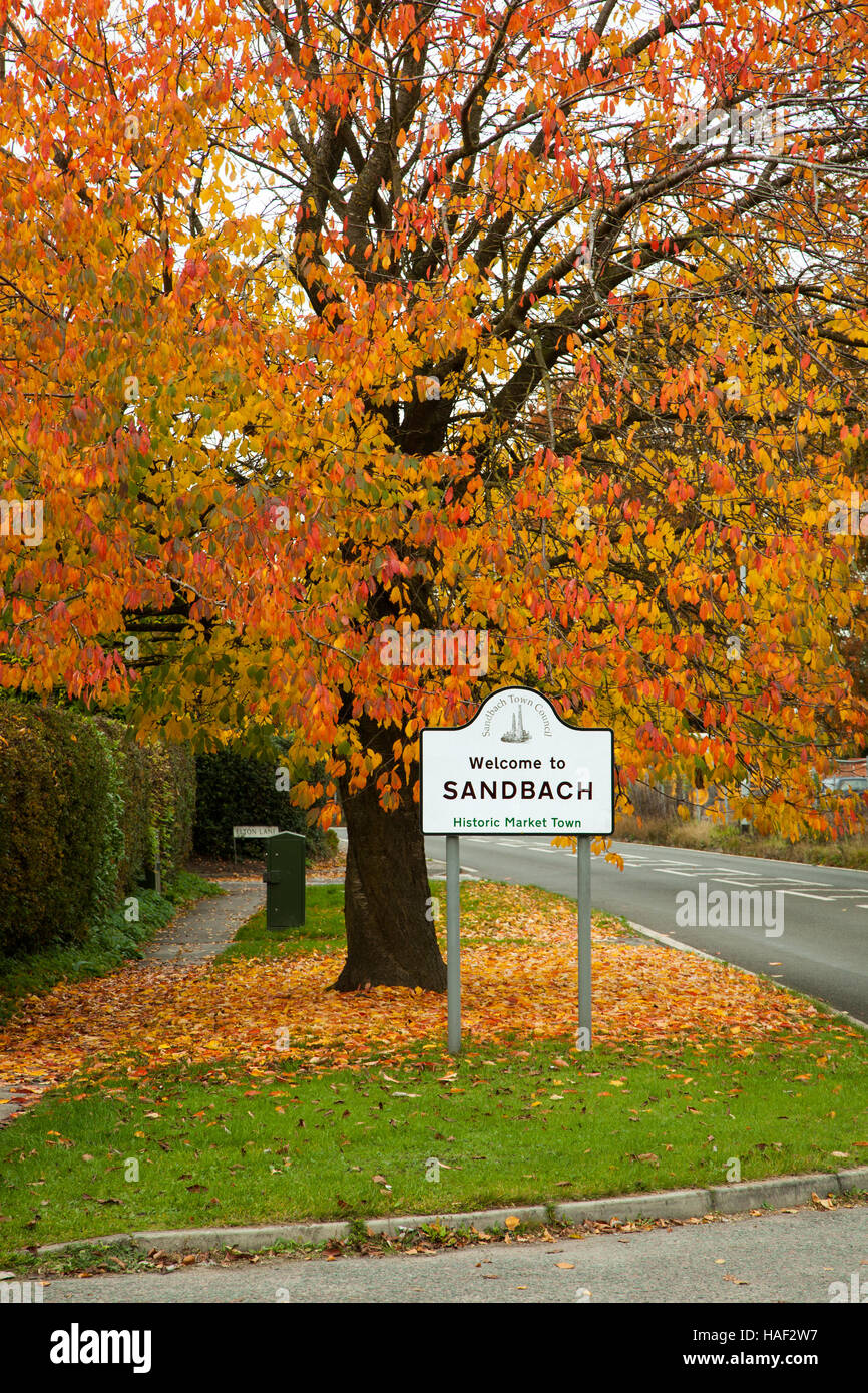 Panneau routier disant bienvenue à Sandbach avec arbres surplombant dans ses couleurs d'automne Banque D'Images