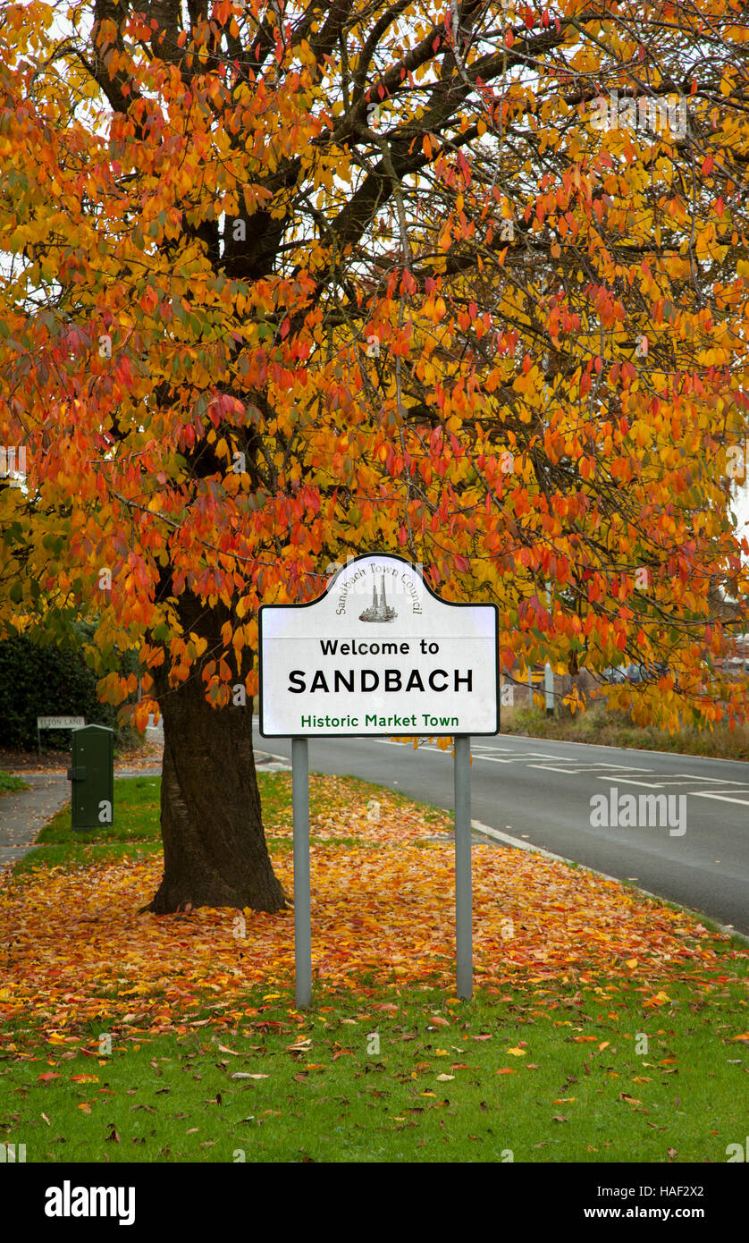 Panneau routier disant bienvenue à Sandbach avec arbres surplombant dans ses couleurs d'automne Banque D'Images