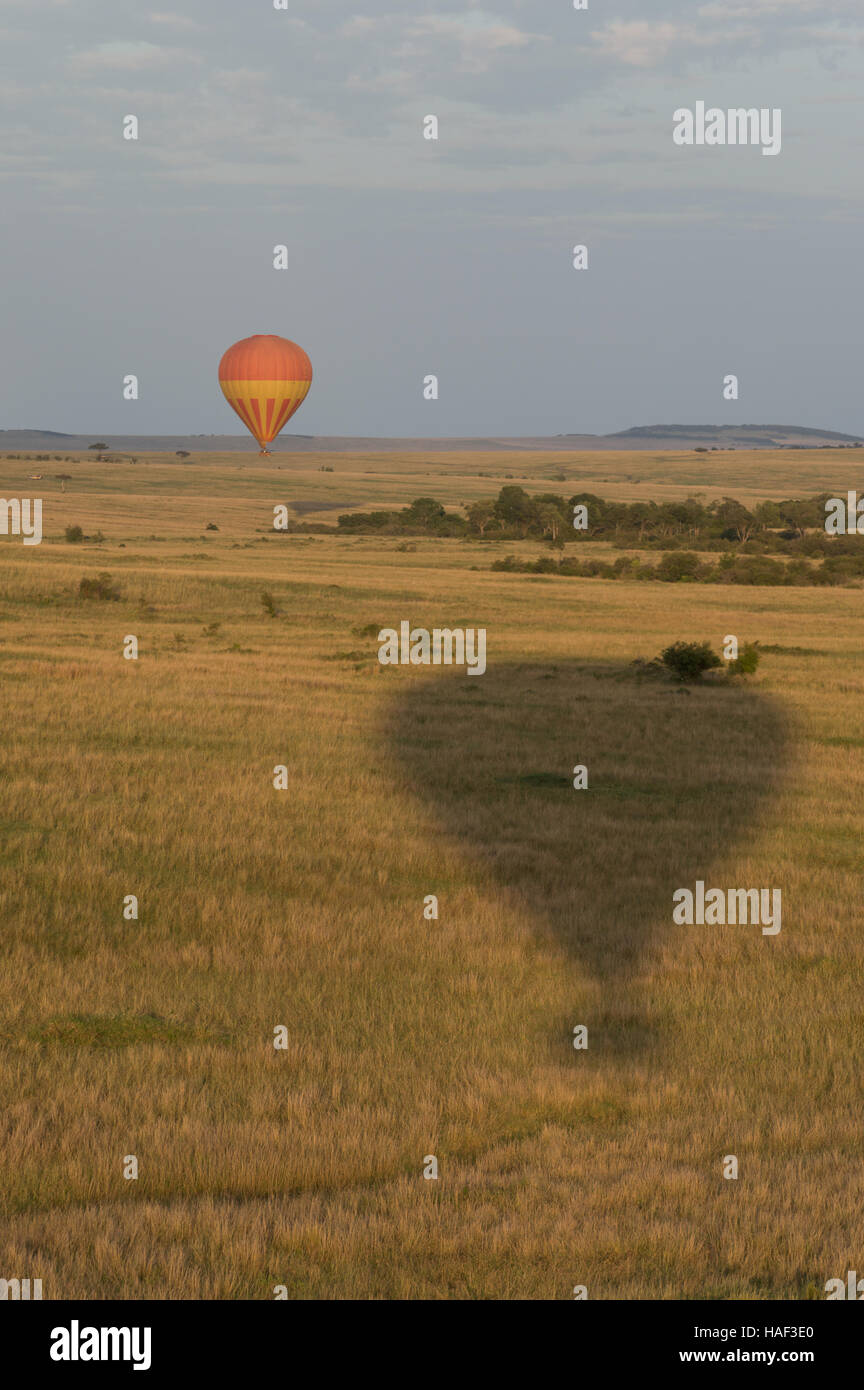 Une orange et jaune montgolfière survolant le Masai Mara et l'ombre d'un autre ballon sur l'herbe en premier plan Banque D'Images