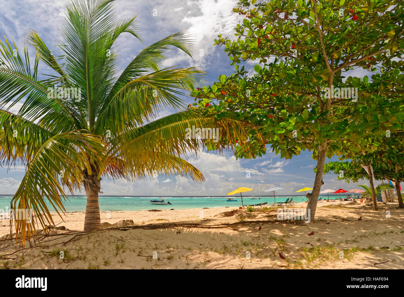 Worthing Beach à Worthing, entre St Lawrence Gap et de Bridgetown, Barbade, Caraïbes. Banque D'Images