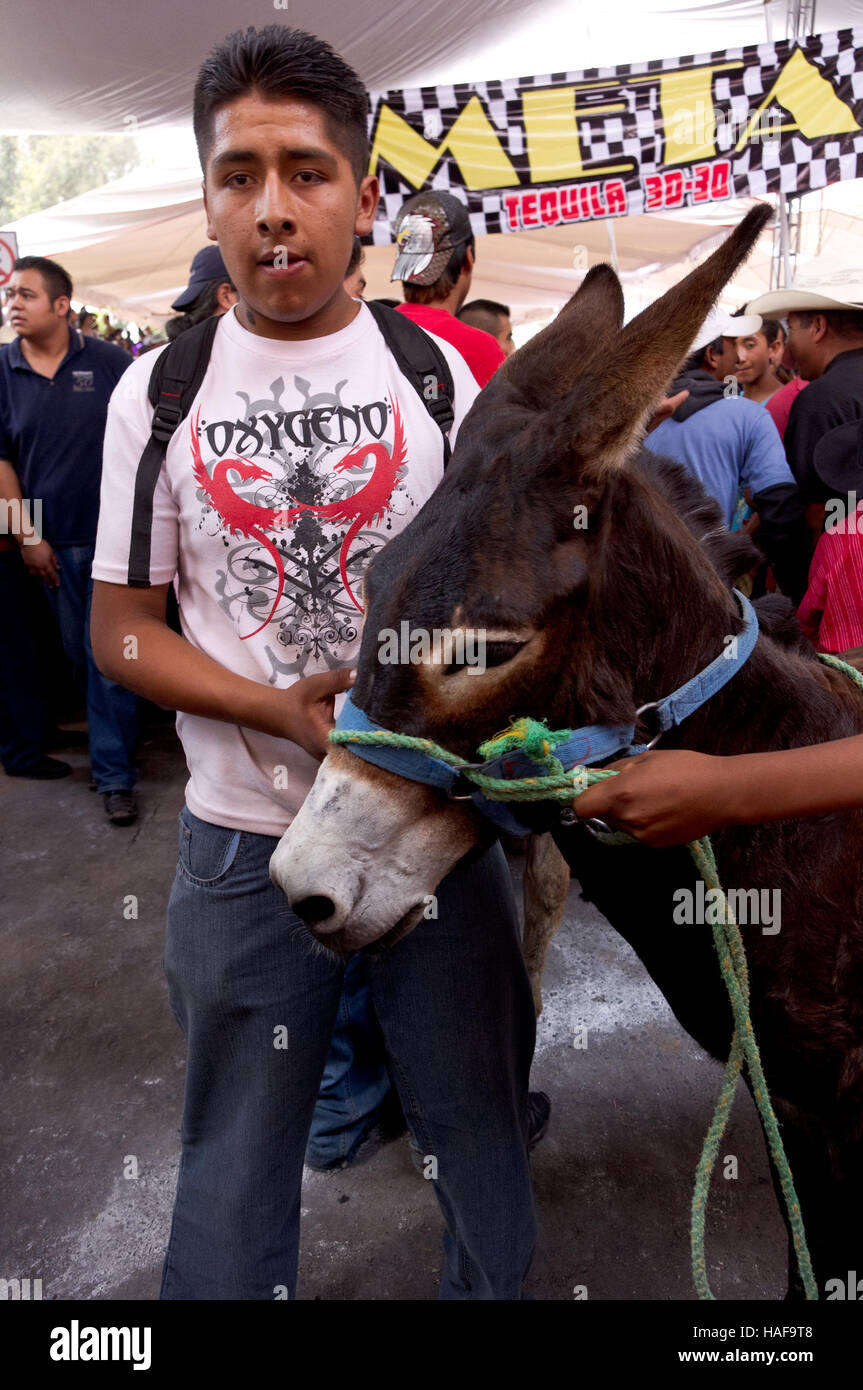 Second prix de la traditionnelle course de l'âne l'Âne au salon (Feria del burro) à Otumba, Mexique Banque D'Images