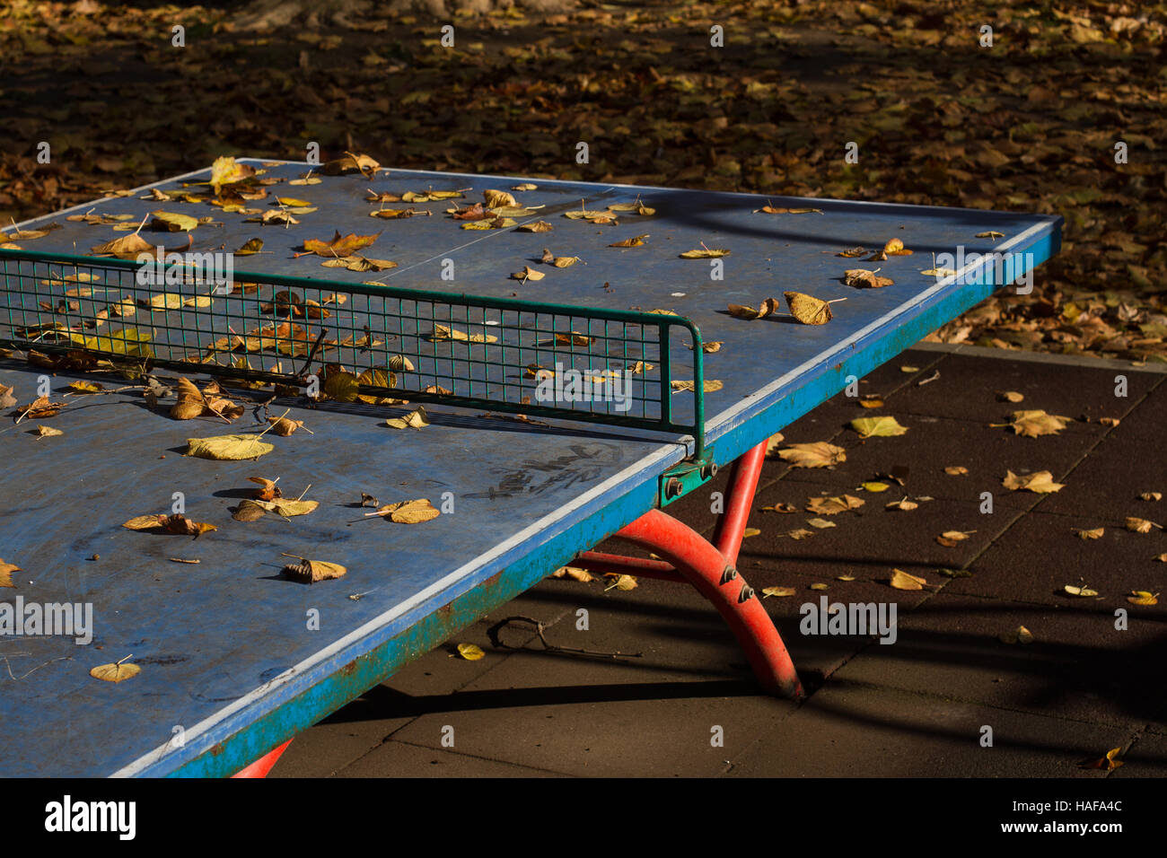 Parc extérieur horizontal bleu Table de ping-pong avec net métallique dans un parc couvert de feuilles d'automne Banque D'Images