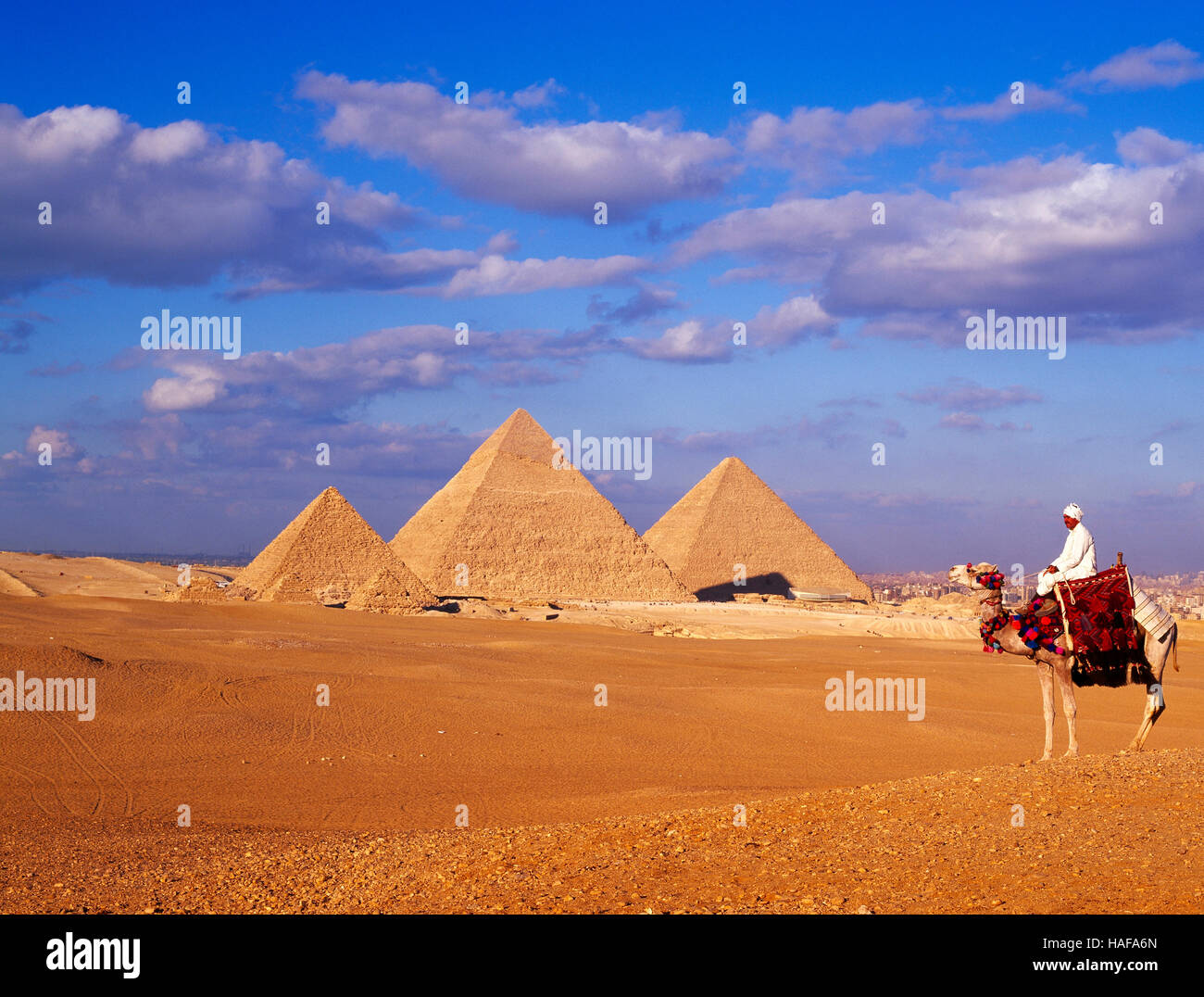 Pyramides et Camel rider, Gizeh, Le Caire, Égypte. Banque D'Images