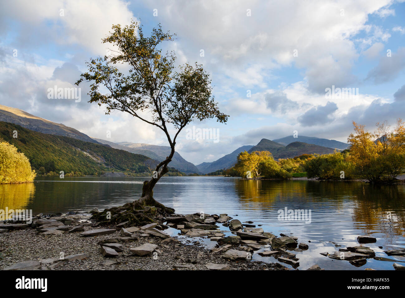 Llyn Padarn et vue vers Snowdon (Yr Wyddfa), Llanberis, Snowdonia National Park (Eryri), Gwynedd, pays de Galles Banque D'Images