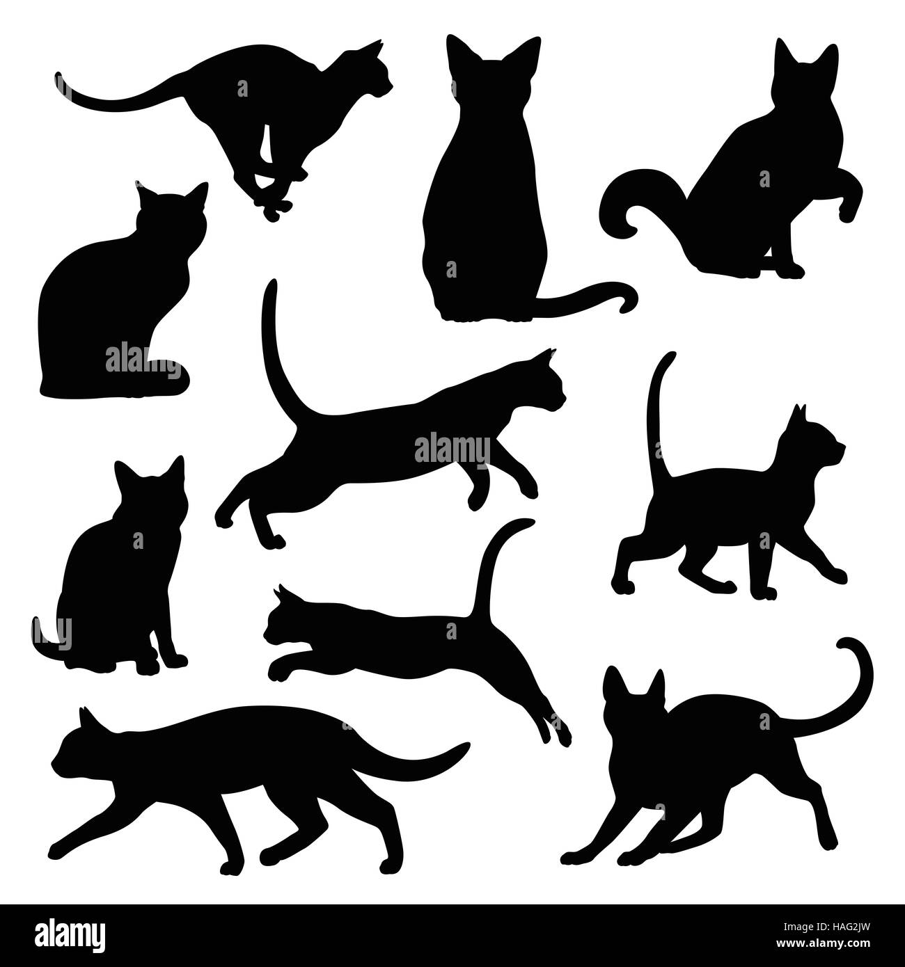Silhouette de chat vector set Banque D'Images