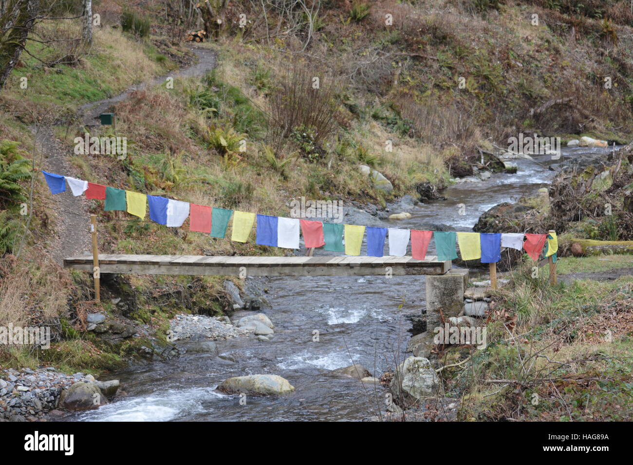 Braithwaite, Cumbria, Royaume-Uni. 30 novembre, 2016. La seule partie d'un pont en bois traversant la Coledale beck Braithwaite après la tempête Desmond a frappé le village Crédit : Pete Holton/Alamy Live News Banque D'Images