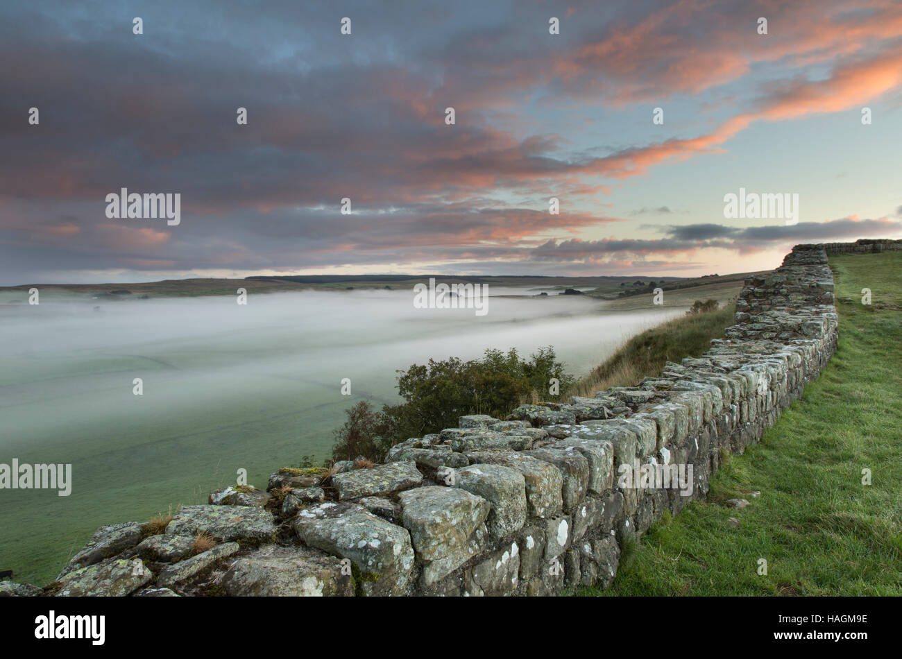 À l'est le long Cawfield Crags, mur d'Hadrien, Northumberland - une aube voir avec le brouillard de faible altitude sur les champs Banque D'Images